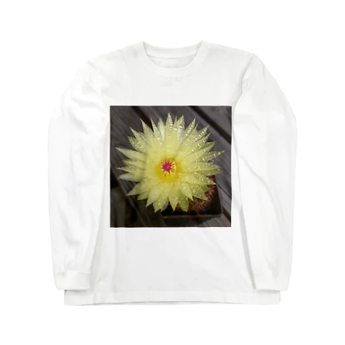 サボテンの花 Long Sleeve T-Shirt