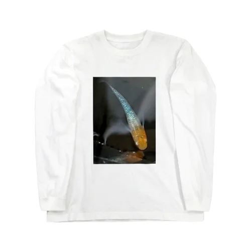 改良　メダカ Long Sleeve T-Shirt