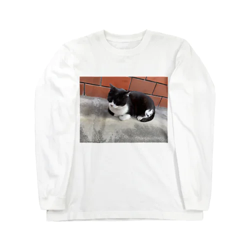 街歩いてたらいたレンガ猫 Long Sleeve T-Shirt