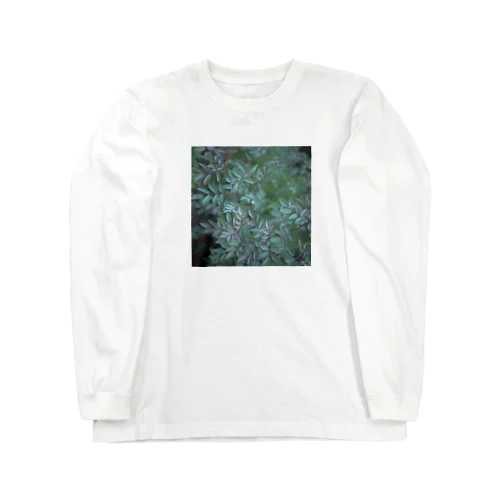 rosa glauca Long Sleeve T-Shirt