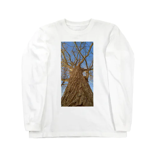 Winter Tree on Blue sky ロングスリーブTシャツ