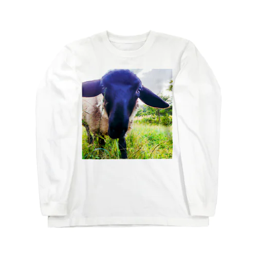 キュリアスひつじ Long Sleeve T-Shirt