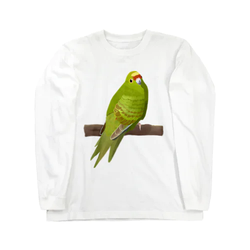 キガシラアオハシインコ(前面プリント) Long Sleeve T-Shirt