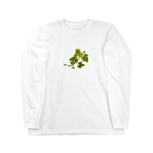 with ナチョラル アイビーL Long Sleeve T-Shirt