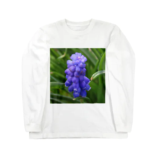 Muscari botryoides(1:1) ロングスリーブTシャツ