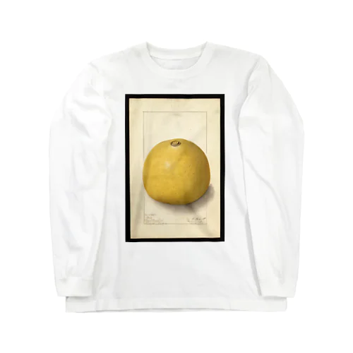 Aegle marmelos  Long Sleeve T-Shirt
