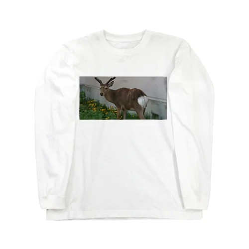 北海道根室市の鹿さん Long Sleeve T-Shirt