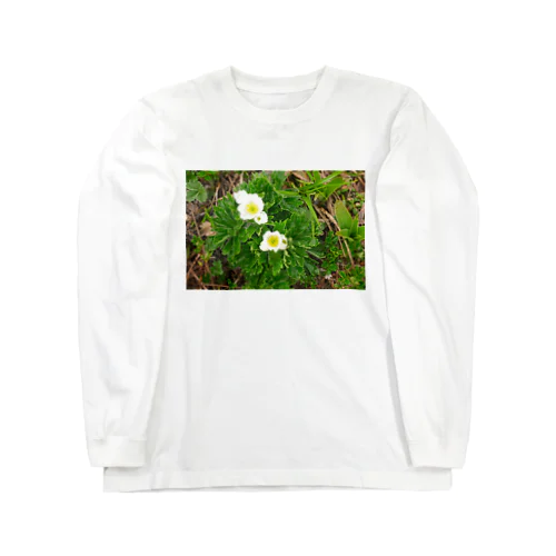 植物図鑑 ハクサンイチゲ② Long Sleeve T-Shirt