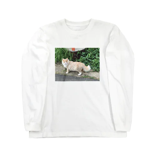 綺麗な猫 Long Sleeve T-Shirt