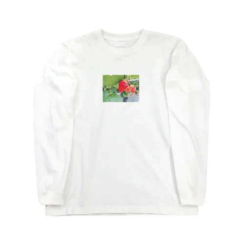 ストロベリーちゃん Long Sleeve T-Shirt