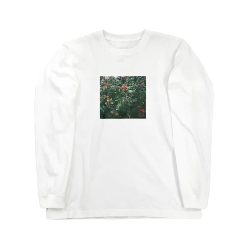 赤い実 Long Sleeve T-Shirt