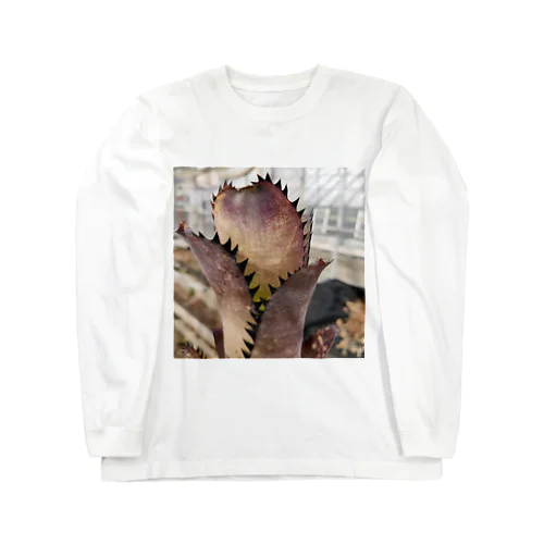 Billbergia 'Kahakai' Long Sleeve T-Shirt