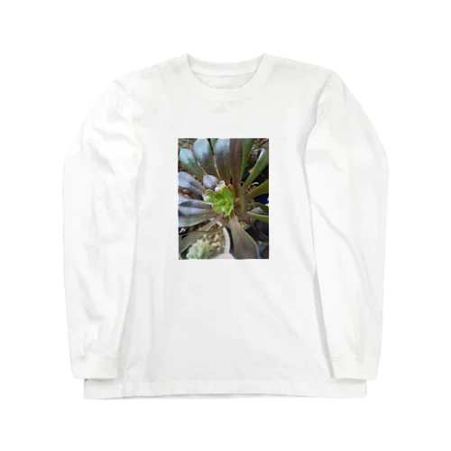 多肉植物の黒法師 Long Sleeve T-Shirt