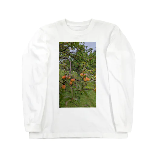 梅柄 Long Sleeve T-Shirt