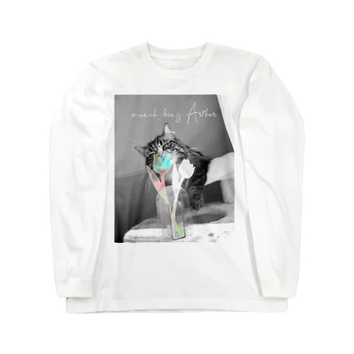 Spring coming soon Long Sleeve T-Shirt