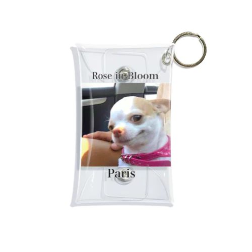 Chihuahua Mini Clear Multipurpose Case