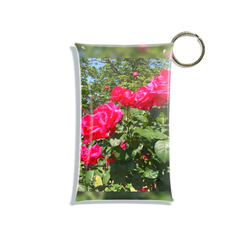 Rose Mini Clear Multipurpose Case