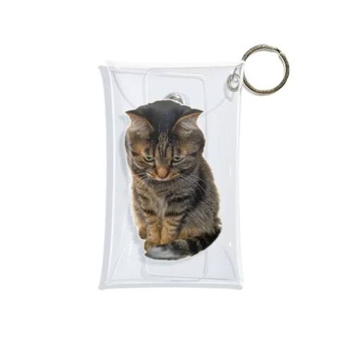 もじもじ猫きっと Mini Clear Multipurpose Case