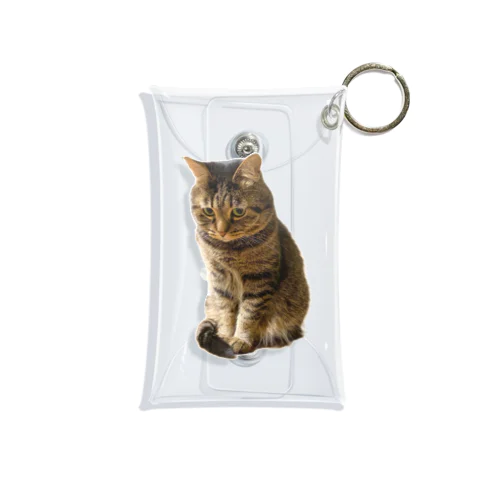 もじもじ猫きっと Mini Clear Multipurpose Case