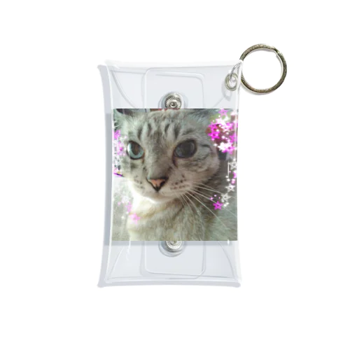 モモたん Mini Clear Multipurpose Case