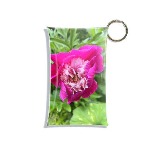 一輪の赤紫色の花 Mini Clear Multipurpose Case