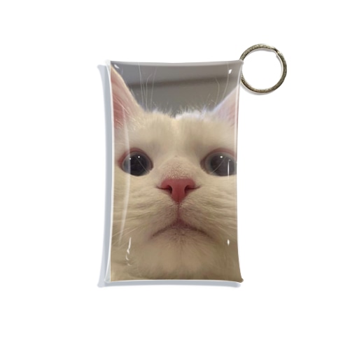 ヌァニィ？！ Mini Clear Multipurpose Case