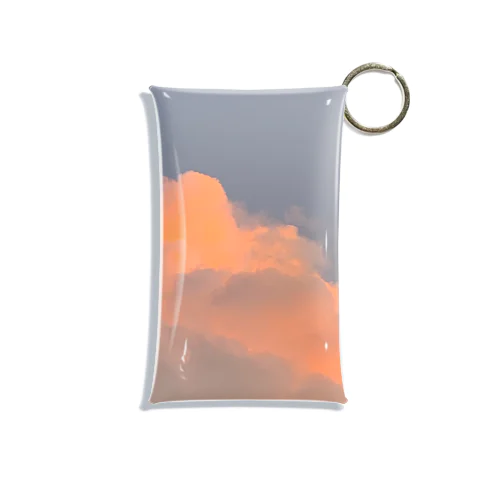 sky Mini Clear Multipurpose Case