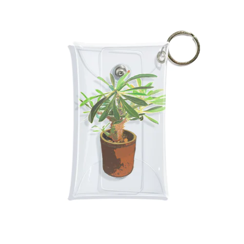 Pachypodium densiflorum Mini Clear Multipurpose Case