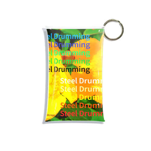 22-Steel Drumming Mini Clear Multipurpose Case