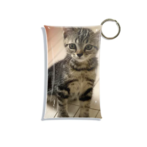 ねこのニコ　そのさん Mini Clear Multipurpose Case