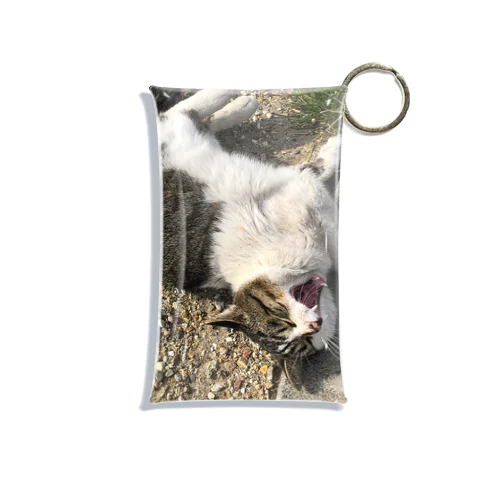 猫 Mini Clear Multipurpose Case