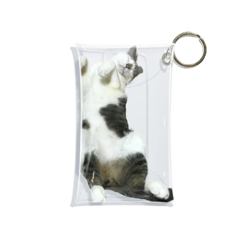 実家のお猫様 Mini Clear Multipurpose Case