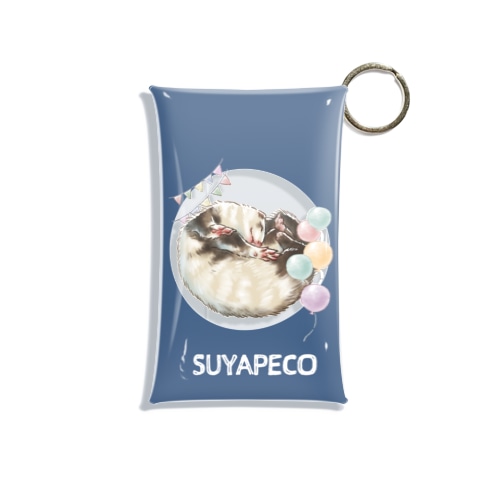 15.SUYAPECO Mini Clear Multipurpose Case