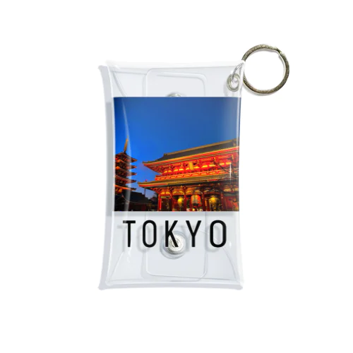 TOKYO Mini Clear Multipurpose Case