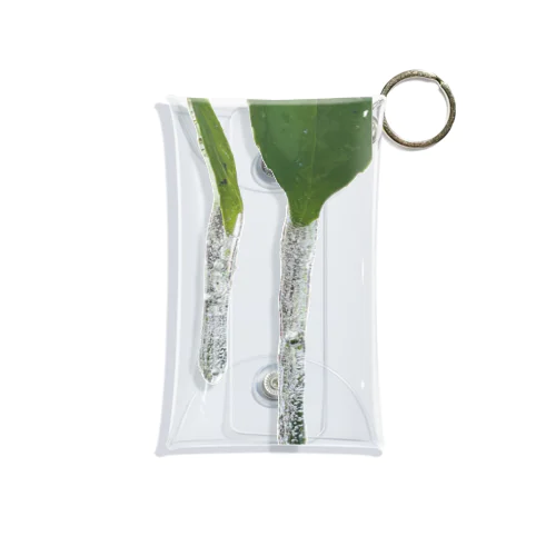 TSURARA Mini Clear Multipurpose Case