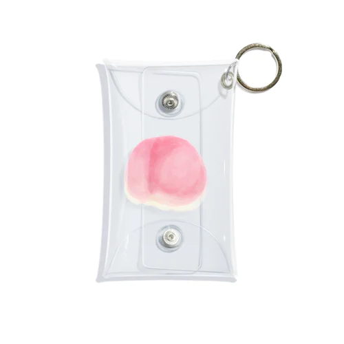 Momo Mini Clear Multipurpose Case