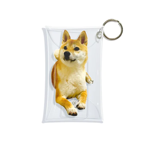 柴犬おかゆ Mini Clear Multipurpose Case