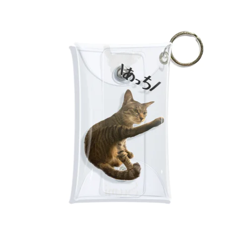 独特な方法で道案内するねこ Mini Clear Multipurpose Case