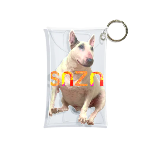 snzn_BullTerrier Mini Clear Multipurpose Case