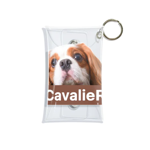 CavalieR キャバリア ミニクリアマルチケース