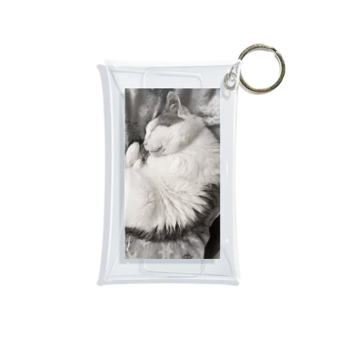 可愛い猫のお昼寝　癒し 미니 투명 동전 지갑