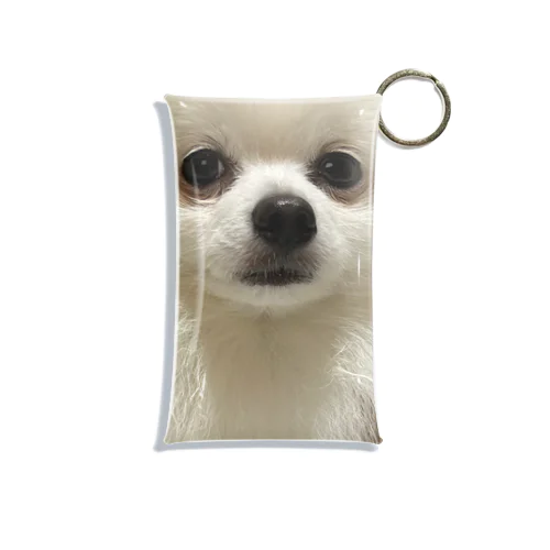 うちの犬のポメ Mini Clear Multipurpose Case