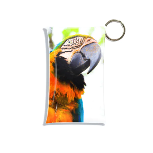 Parrot Mini Clear Multipurpose Case