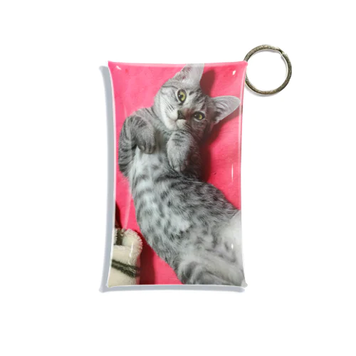 可愛げがあった頃の猫です｡ Mini Clear Multipurpose Case