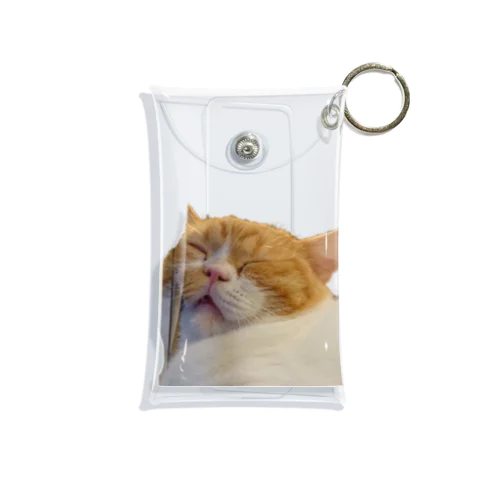 ホラ猫 Mini Clear Multipurpose Case