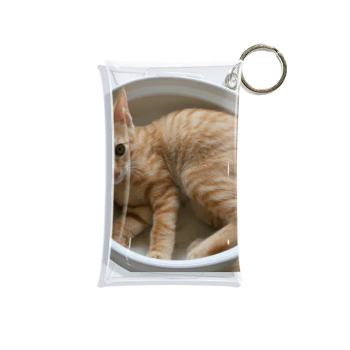 ねこ鍋 Mini Clear Multipurpose Case