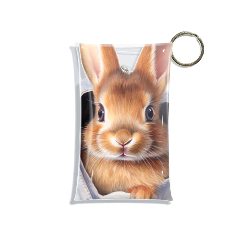 ポケットインうさぎ Mini Clear Multipurpose Case