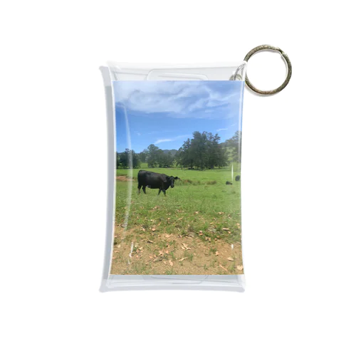 Farm Mini Clear Multipurpose Case