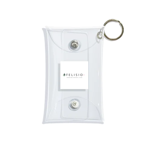 FELISIO+ Mini Clear Multipurpose Case