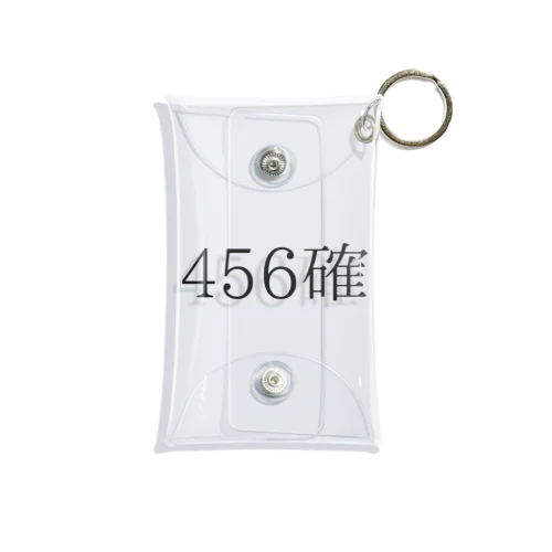 456確 Mini Clear Multipurpose Case